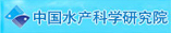 公司简介
